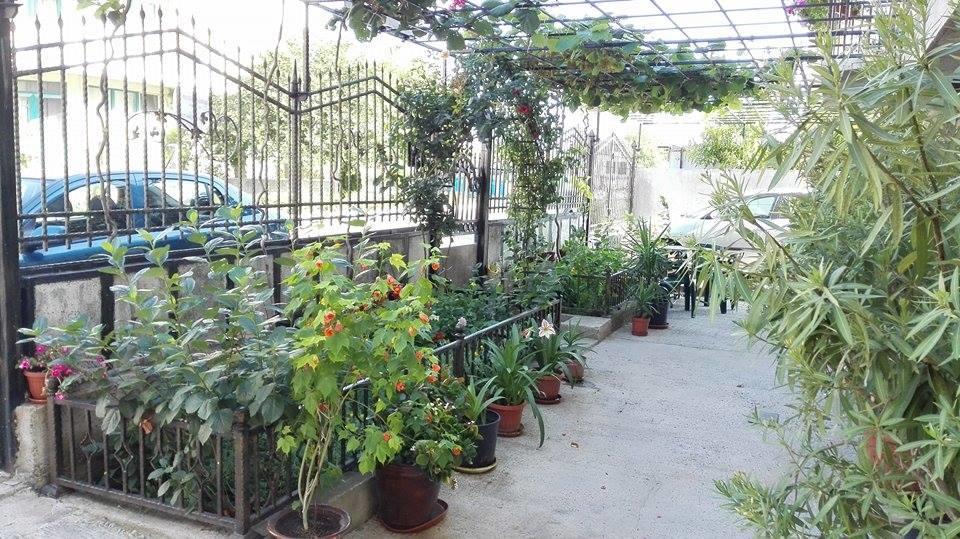 Dracena Guesthouse 拉夫达 外观 照片