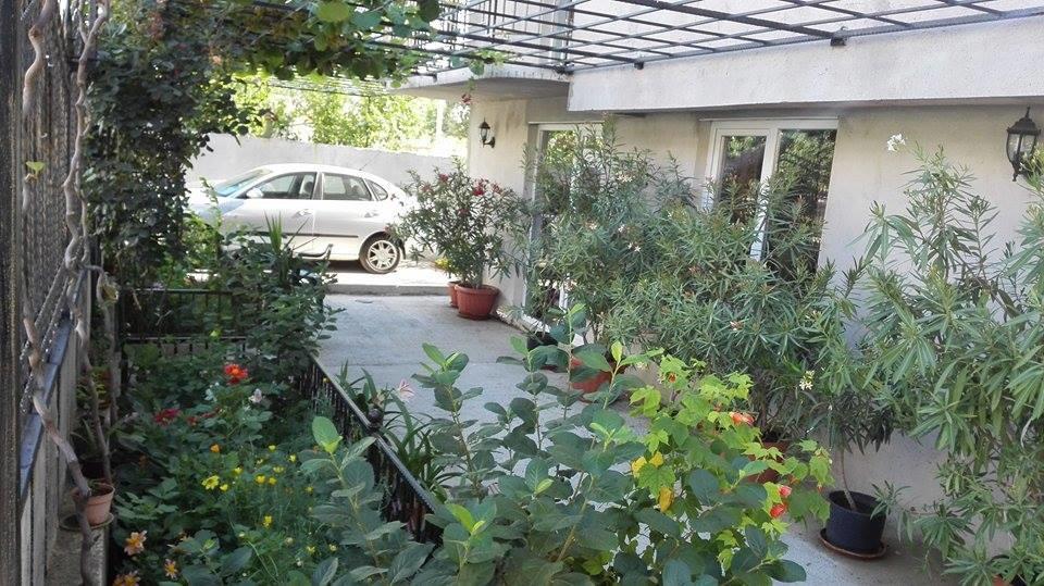 Dracena Guesthouse 拉夫达 外观 照片